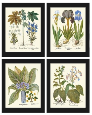 Botanical Wall Art Set of 4 Prints Beautiful Antique Vintage Blue ...