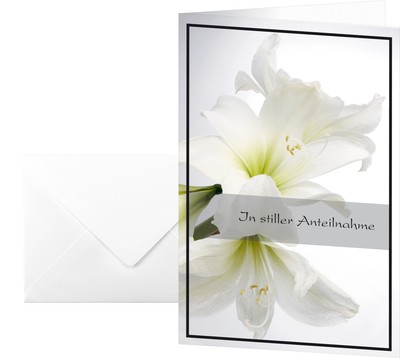 Sigel DS006 Sympathy Cards with White Amaryllis Design 17x11.5 cm Including Whit