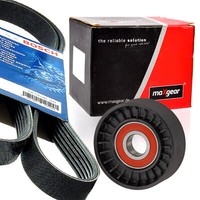 Bosch 6PK1180 Keilrippenriemen + Rolle FüR Fiat Idea 1.9 JTD Lancia Musa