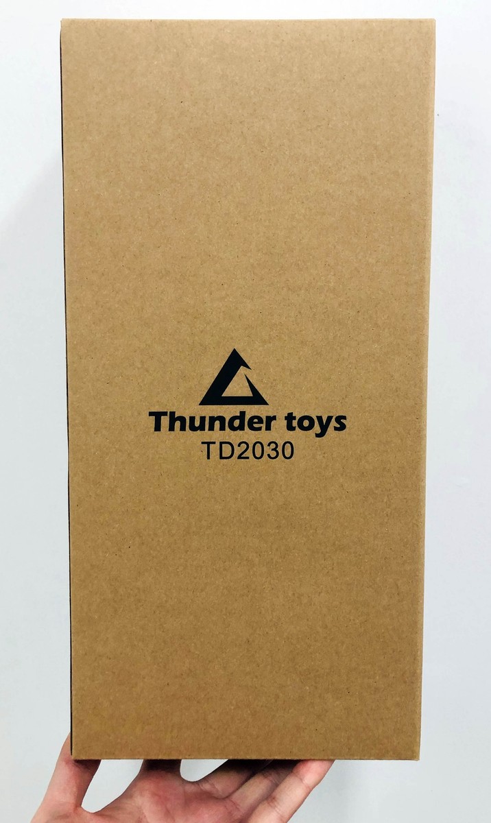 New Thunder Toys TD2030 1/6 The Phantom Action Figure New Thunder Toys TD2030 1/6 The Phantom Action Figure