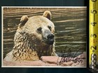 Minnesota Viking MATT BLAIR No 59 Autographed Nature Photography Greeting Card — photo 8