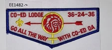 Boy Scout Co-Ed Lodge OA Spoof Flap