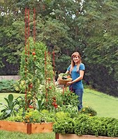 Stacking Tomato Ladders Set Of 6 Heavy Gauge Stacking Tomato Ladders Set Of 6 Heavy Gauge