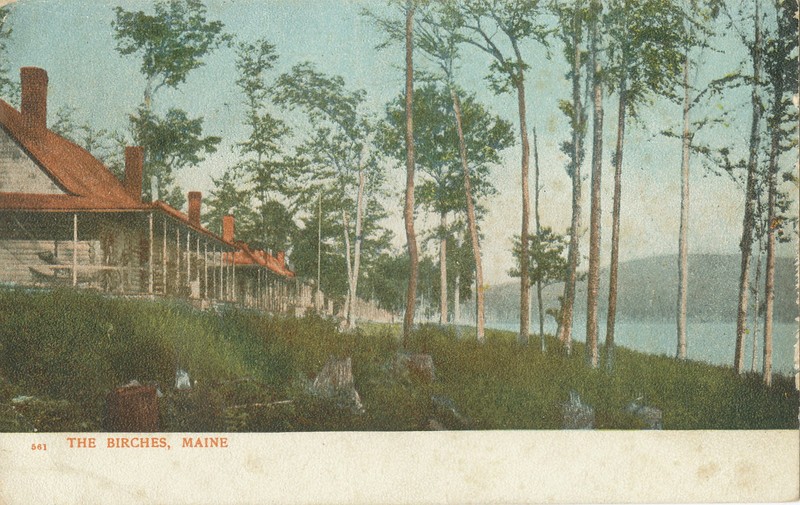 Cottages along Lake - THE BIRCHES, ME / MIDDLEBURY, VT DUPLEX CANCEL 1906