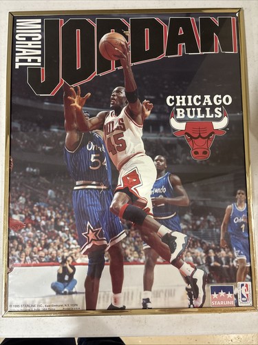 Michael Jordan Poster (Framed)