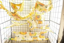 Sugar Glider Cage set, SK253 Rat  Sugar Glider Accessories, Flying Squirrel, 