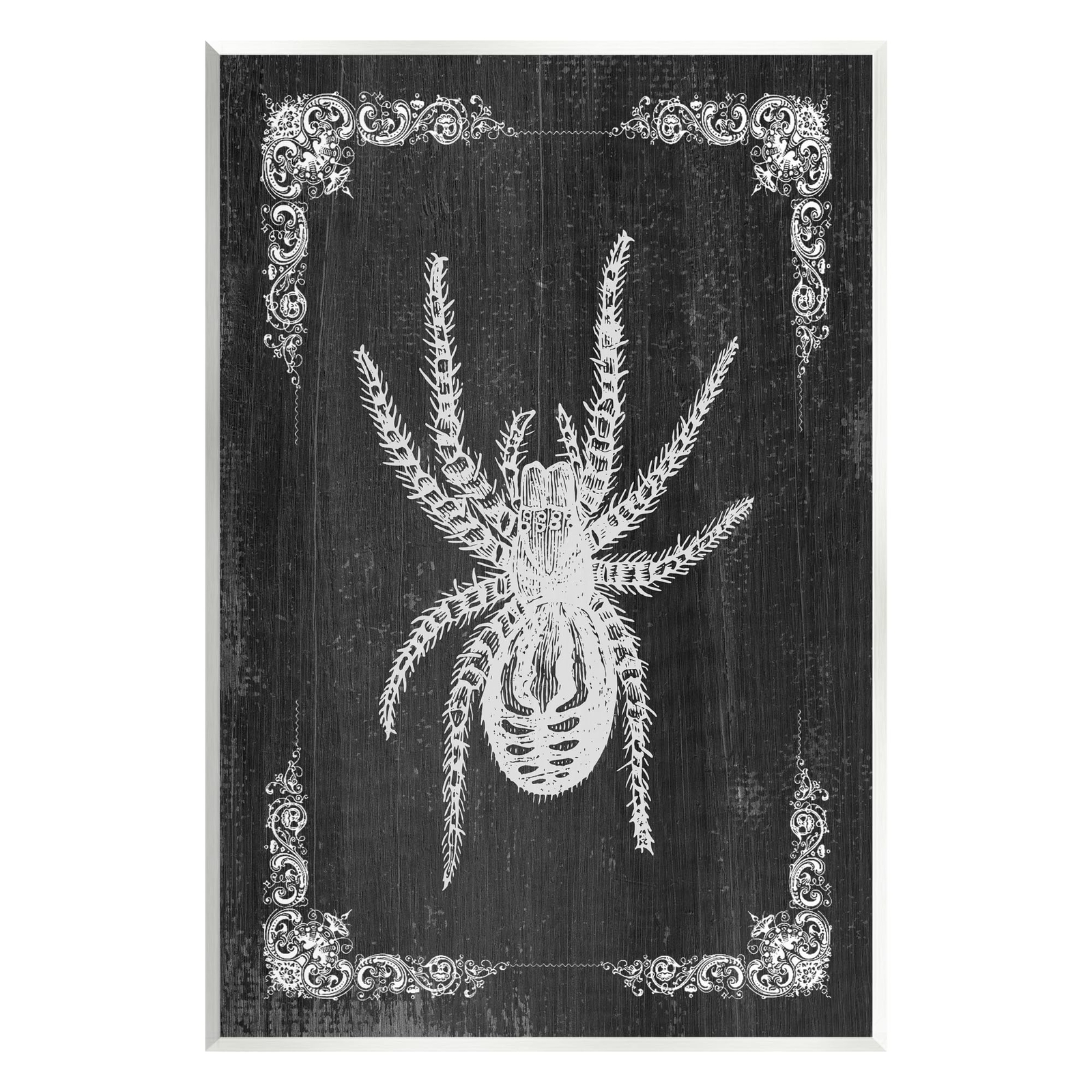 Black & White Spider Wall Plaque Art Design by Lil' Rue