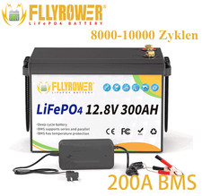 FLLYROWER 3840Wh 12V 300Ah LiFePO4 Lithium Battery 8000 Deep Cycle For RV Home