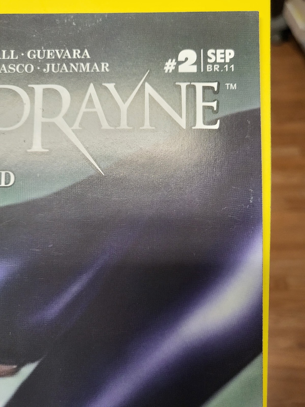 Bloodrayne Red Blood Run #2 2007 Digital Webbing Incentive Variant VF