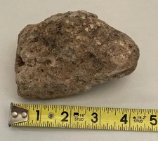 Large Pumice Volcanic Stone for Terrarium/Rock Garden/Collection - Floats!