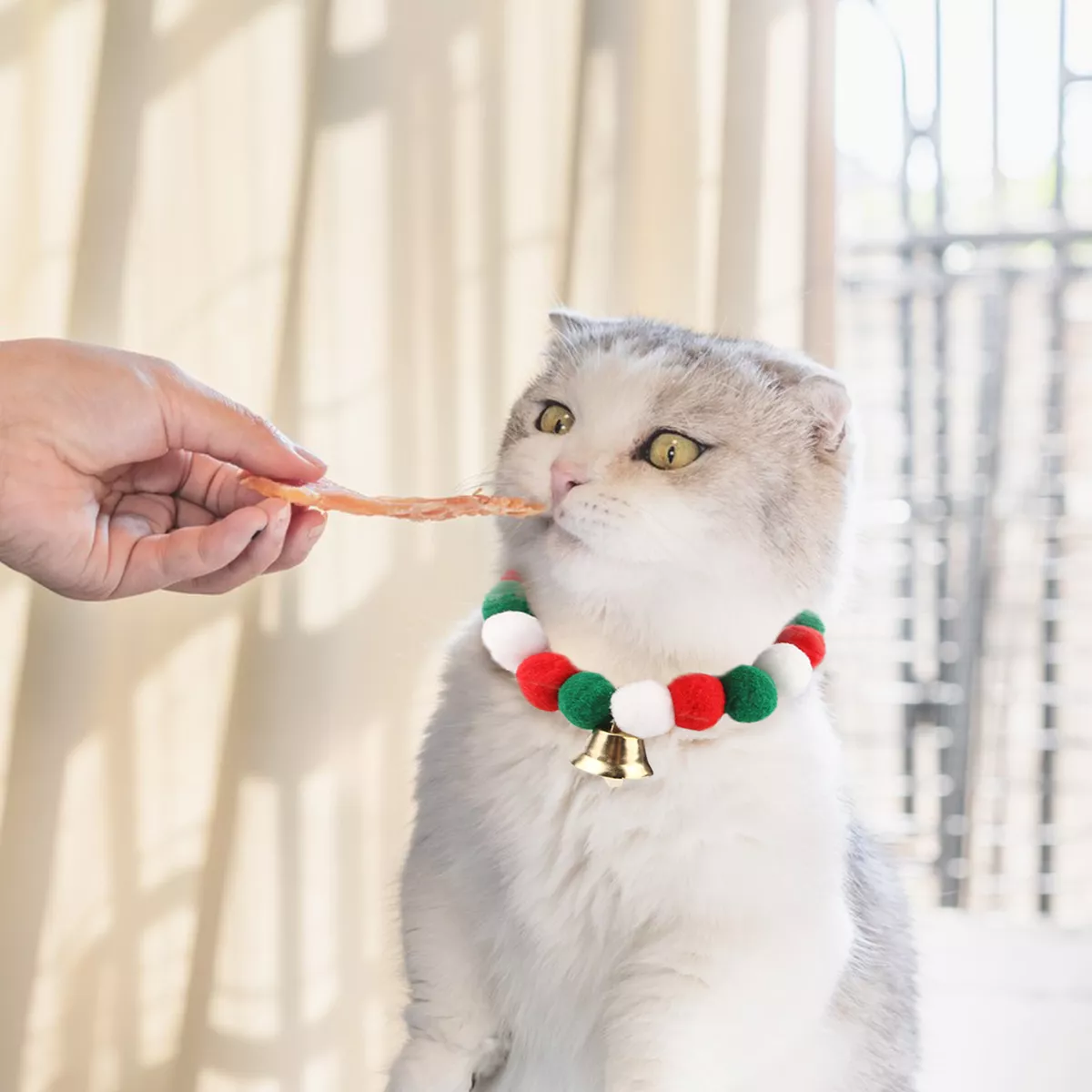 Christmas bow best sale tie collar