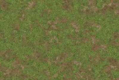 BOARDS OF WAR CUSTOM PRINTS 6x4 Spring Grass Wargaming / Battle Mat - Ideal for Warhammer Age of Sigmar etc