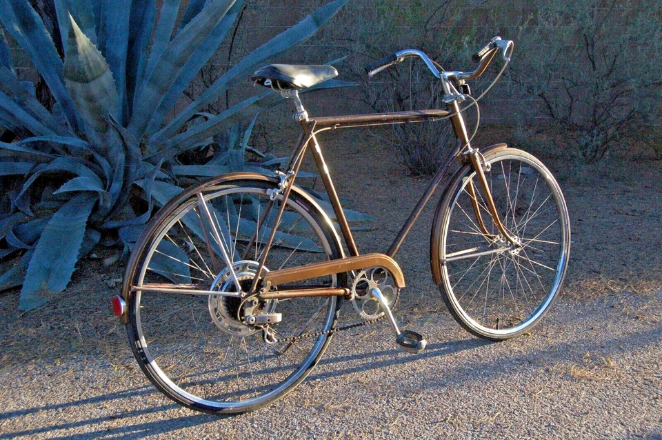 Schwinn Suburban 5spd 1973 vintage Chicago USA Chestnut brown pinstripes Bicycle - Image 3 of 4