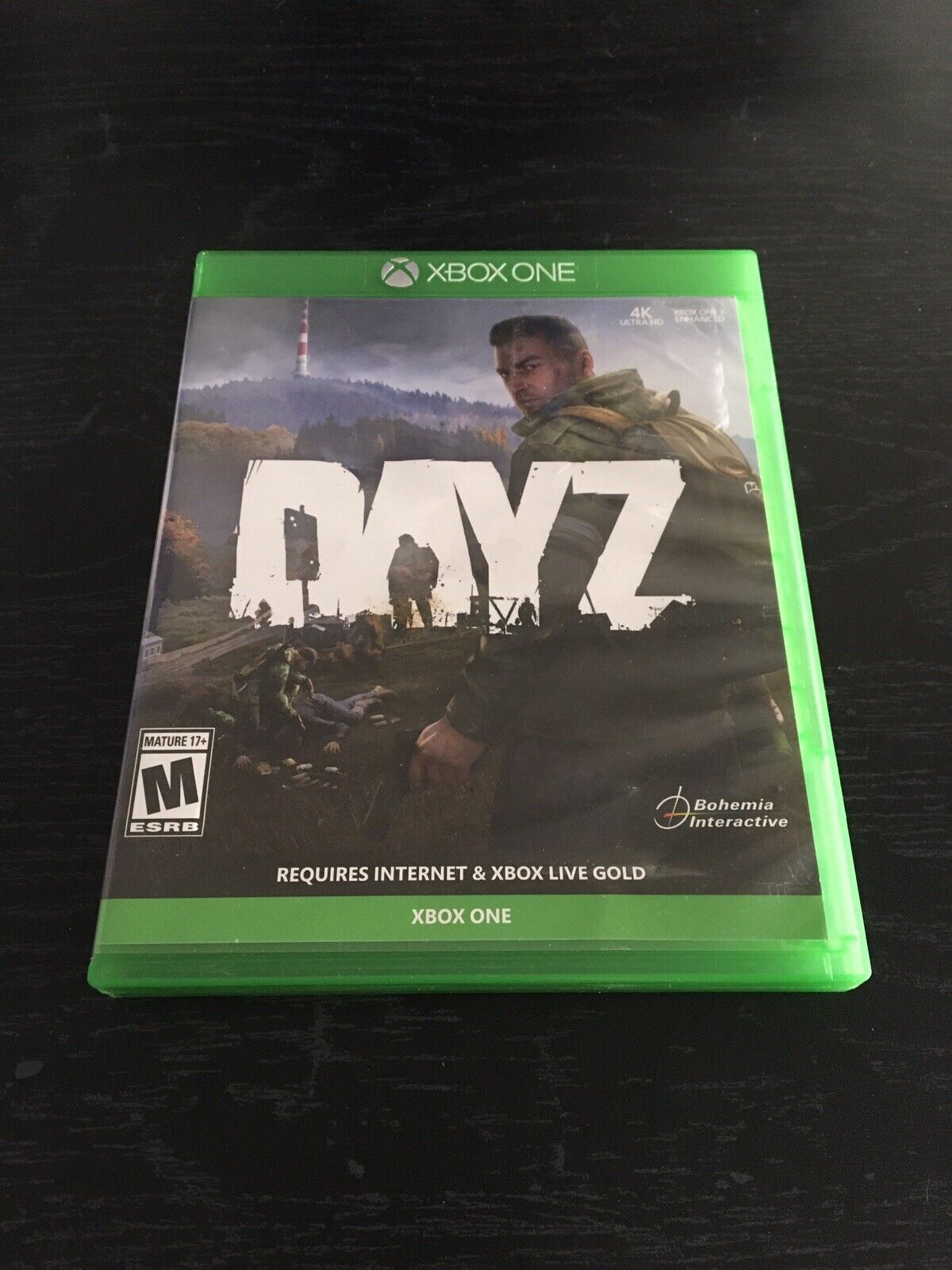 Dayz (Xbox One)