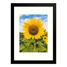 12x16 Picture Frames for 8.5x11 or 11x14 Photo for Wall with Plexiglass