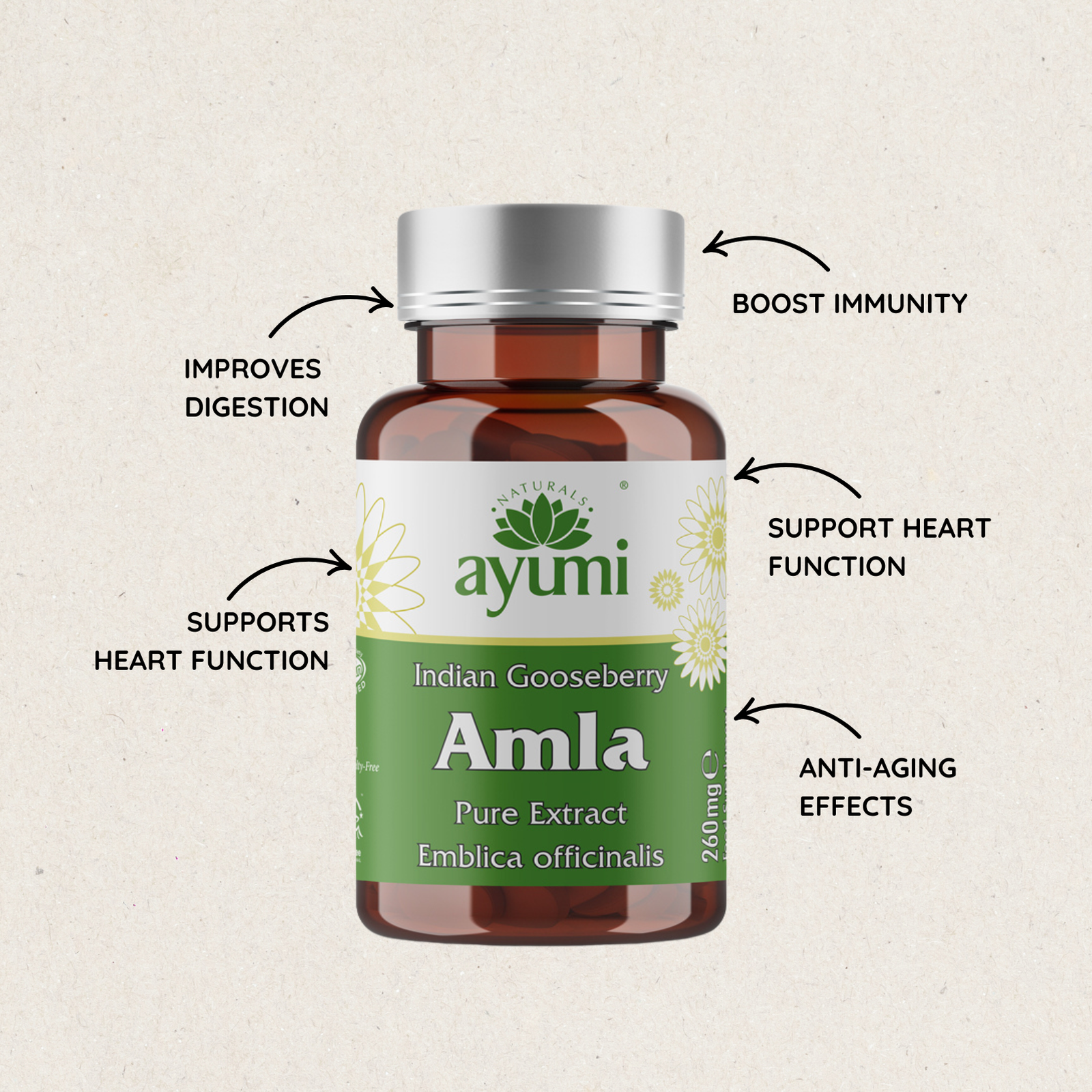 Ayumi Amla | Amlaki Capsules | Boosts Immunity | 60 Vegan Capsules