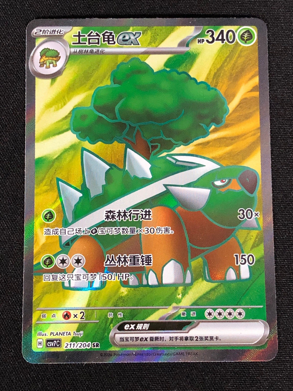 Pokemon Torterra EX 211/204 SR (NM) Holo Chinese 