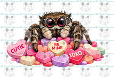 Valentines Day Jumping Spider Stickers