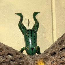 Halik Moose lake Minn. Frog Ribbit Ribbit. Good Collection To Your Lures