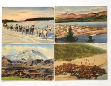 Alaska Siberian Dog Team Mt Mckinley Reindeer Seward 4 Vintage Linen Art Cards