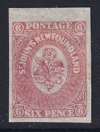 Newfoundland 1861 Imperforate #20  MNG  No Hidden Faults