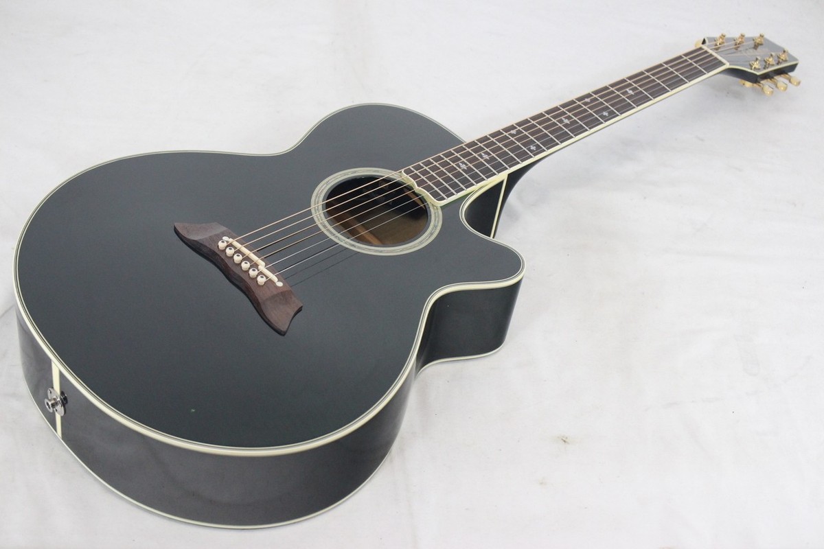 ナイロン弦アコースティックギター 型式 NPT110N Takamine NPT-110 | eBay