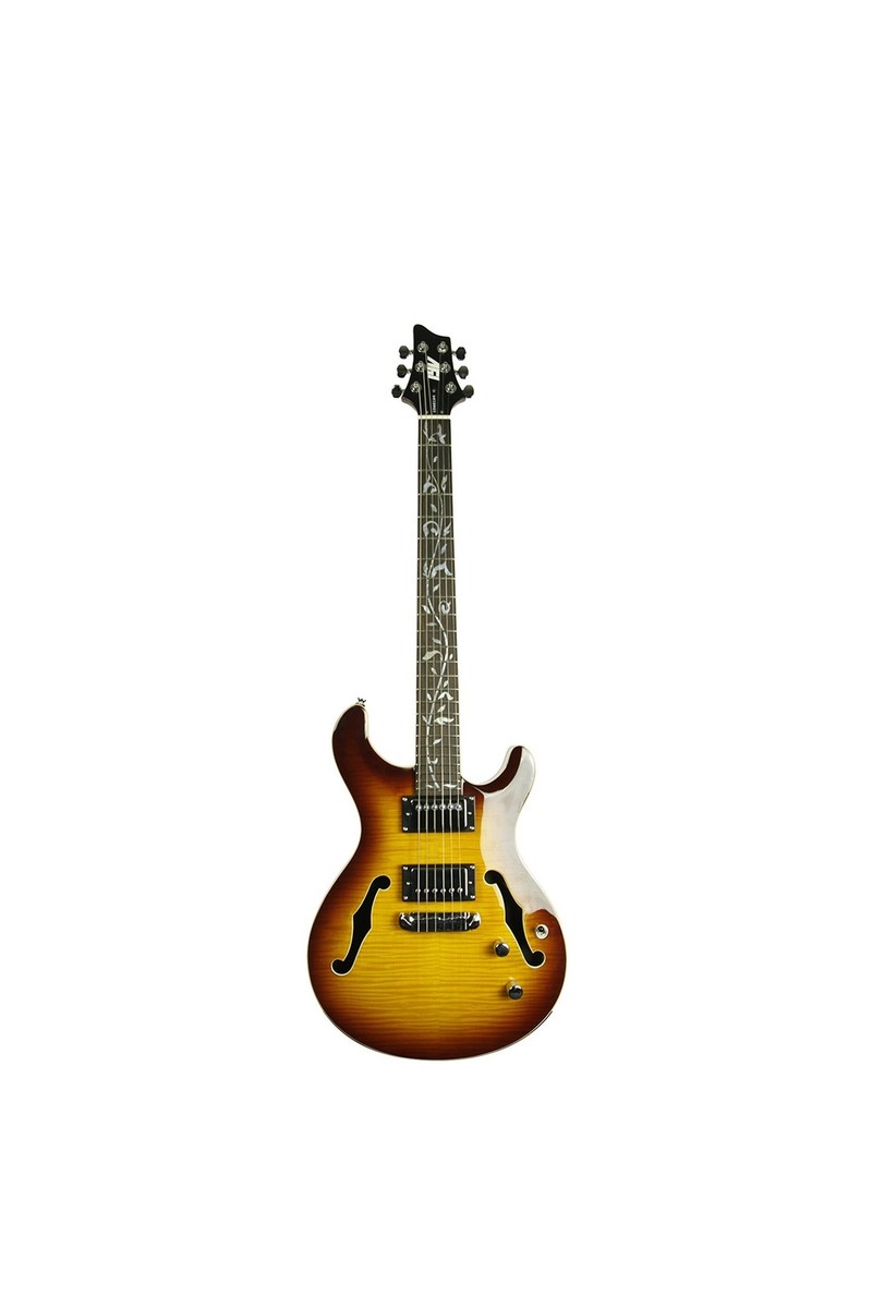 ivy 6 String Acoustic-Electric Guitar, Right, Tobacco Sunburst