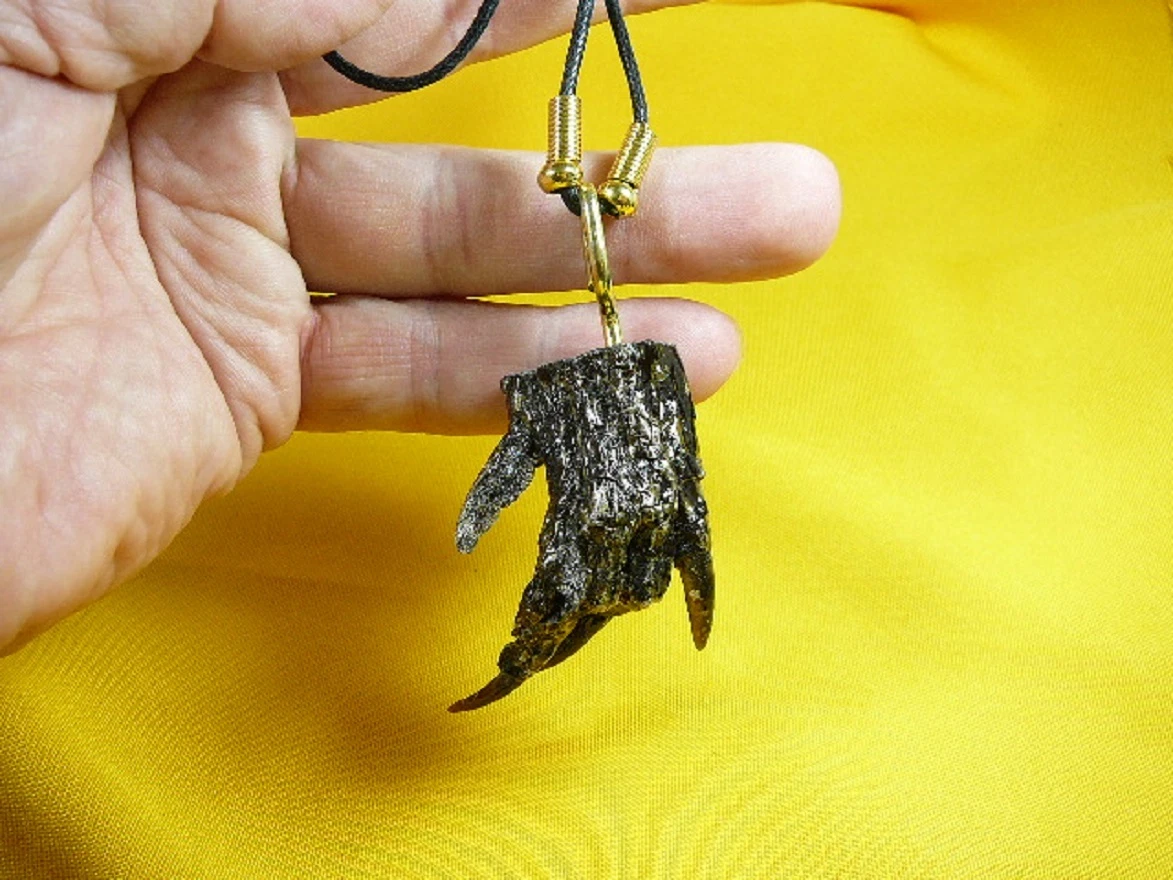 Alligator claw necklace sale