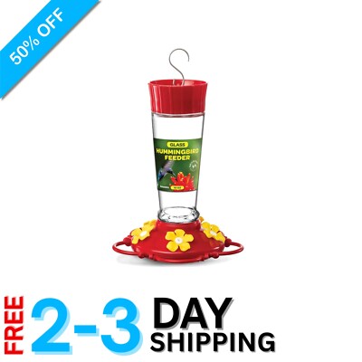 Attractive Hummingbird Feeder - 10oz Glass with Circular Perch & Easy Clean