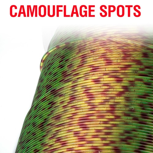 3D Invisible Spotted Fishing Line Monofilament Speckle Mono Line 120m - Picture 3 of 32