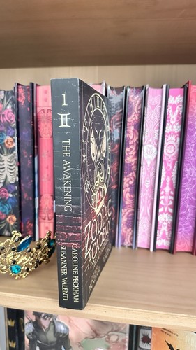 Das Erwachen: Buch 1 der Zodiac Academy Serie (vergriffen: mattes Cover, NEU) - Bild 3 von 12