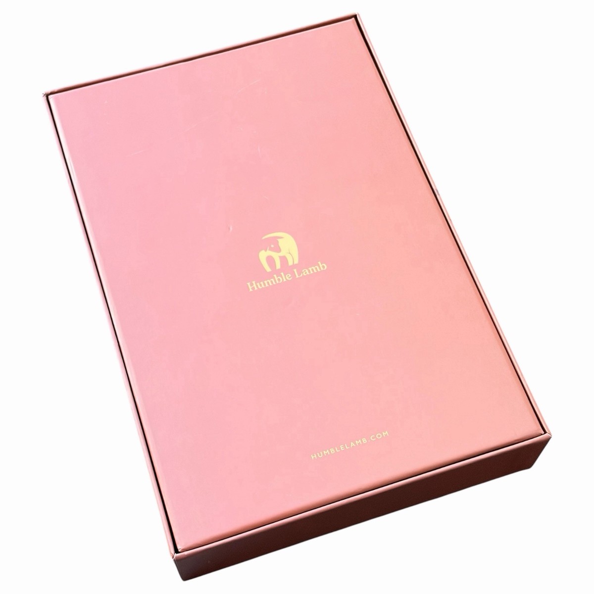 Humble Lamb NLT Sonrise Desert Sky Goatskin Leather Bible Box Full