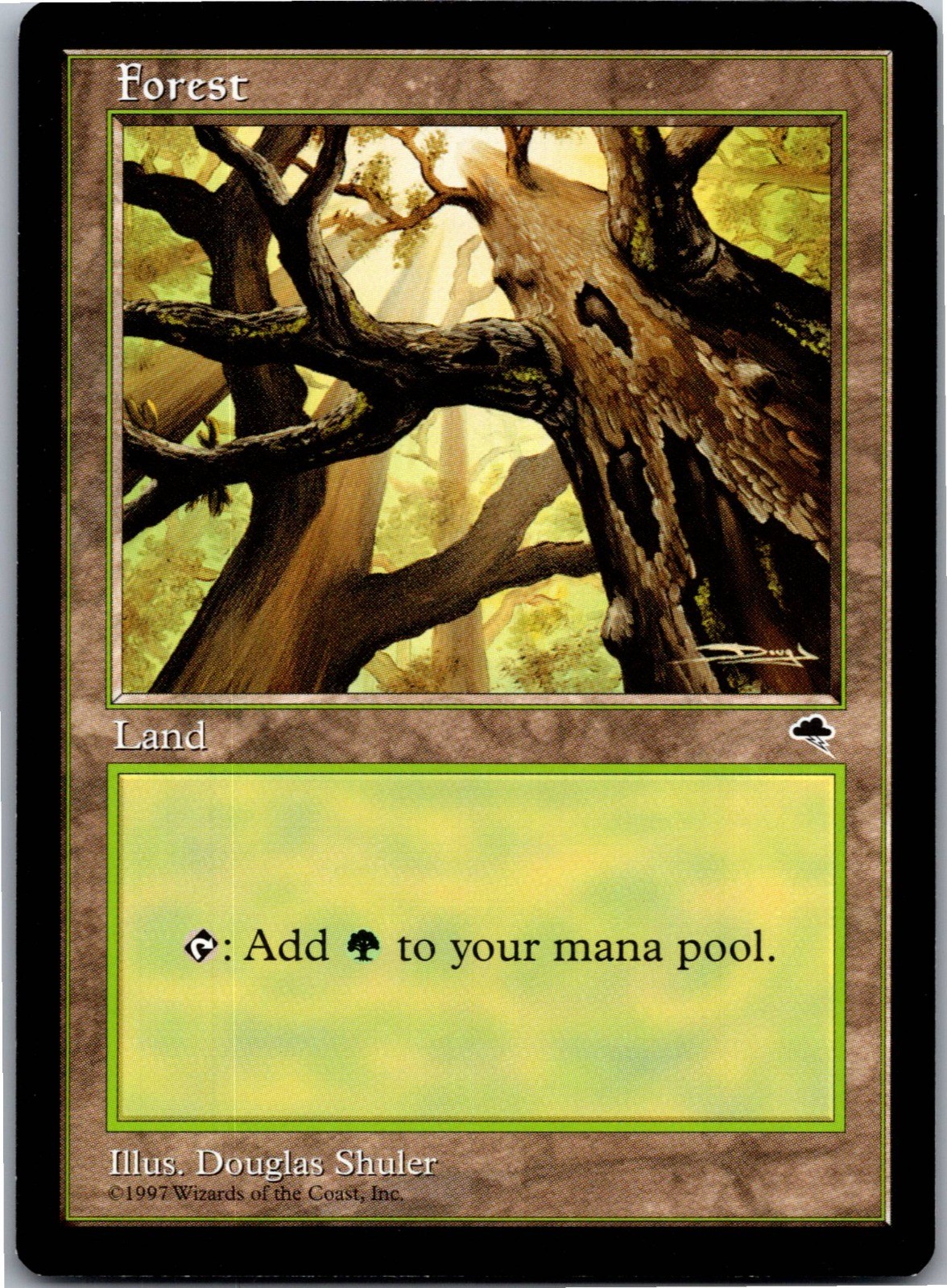 Forest (Skyward) - L - MTG: Tempest 1997 [LP]