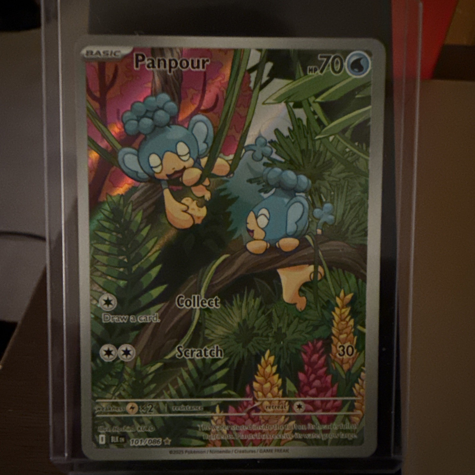 Panpour 101/086 Illustration Rare Pokemon TCG - Black Bolt NM/Mint!!