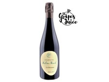 Emilien Feneuil Les Ruisseaux 2017 Champagne Bio Zéro Dosage 1Er Cru France