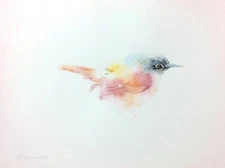 Prinia, Birds, Watercolor artwork,Handmade,Original painting on paper