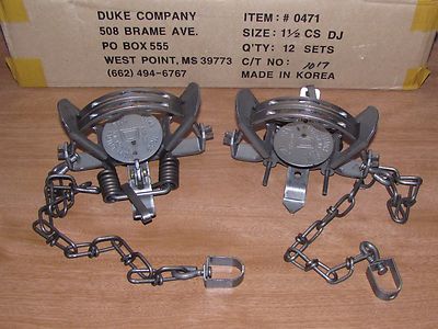 2 Duke #1 1/2 CoilSpring double jaw Traps Raccoon Mink Nutria Muskrat NEW SALE | eBay