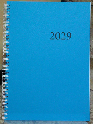 wochenkalender A4 Blau 2029