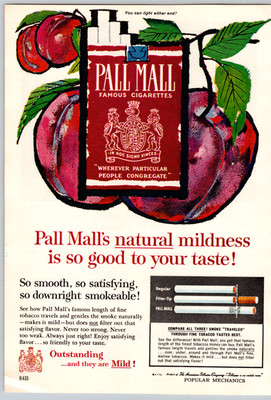 1961 Print Ad  Pall Mall Cigarettes Illustration Plums Natural Mildness Smooth