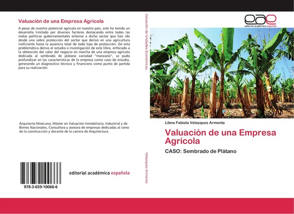 ValuacióN De Una Empresa Agricola Caso: Sembrado De PláTano Armenta Taschenbuch-image