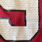 Reebok Arizona Cardinals Rodgers Cromartie #29 NFL Jersey Youth L 14-16 (Wear) — photo 3