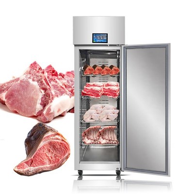 Kolice Commercial Meat Electrostatic Thawing Machine, Food Defroster Machine