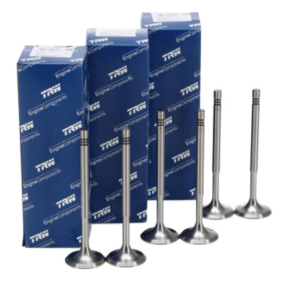 6x TRW Einlassventil für VW POLO 9N 6R 6C SEAT IBIZA 3 4 SKODA FABIA RAPID 1.2
