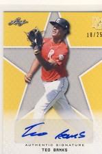 TEO BANKS 2020 Leaf Perfect Game PG National Showcase Yellow AUTO /25 NATIONALS