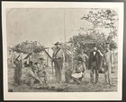 1861 Photo-US Civil War 9th Mississippi Infantry Confederate At Pensacola FL