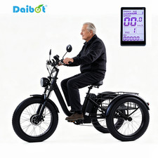 Daibot 24 Inch Fat Tire Electric Tricycle 750w Adults Snow Mountain Cargo Bike Daibot 24 Inch Fat Tire Electric Tricycle 750w Adults Snow Mountain Cargo Bike