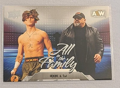 Hook & Taz 2023 All Elite Wrestling AEW All in the Family #95