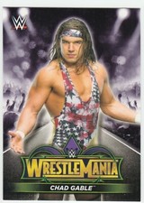 Chad Gable 2018 TOPPS WWE Road to Wrestlemania 34 ROSTER R-43