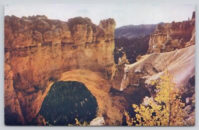 Natural Bridge South Western Utah Nature Landscape Postcard