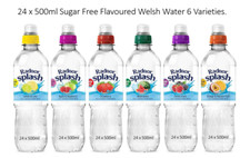 Radnor Splash No Added Sugar Flavoured Water Fruits  - 24 x 500ml